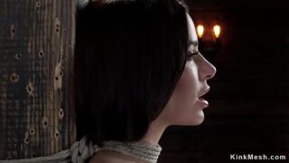 Big-titted Gia DiMarco in restrain bondage on hog-tie