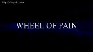 Wheel of ache 5
