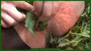 nettle domination & submission