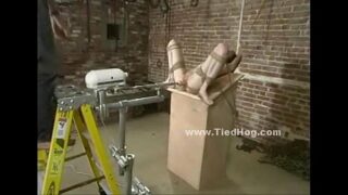 Honey tied taut in chains bruised