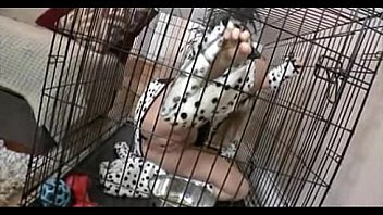 Girly-girl pet training